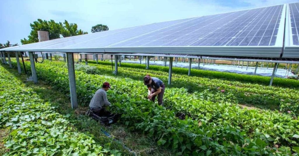 Environment-Friendly and Long-Term Sustainability
